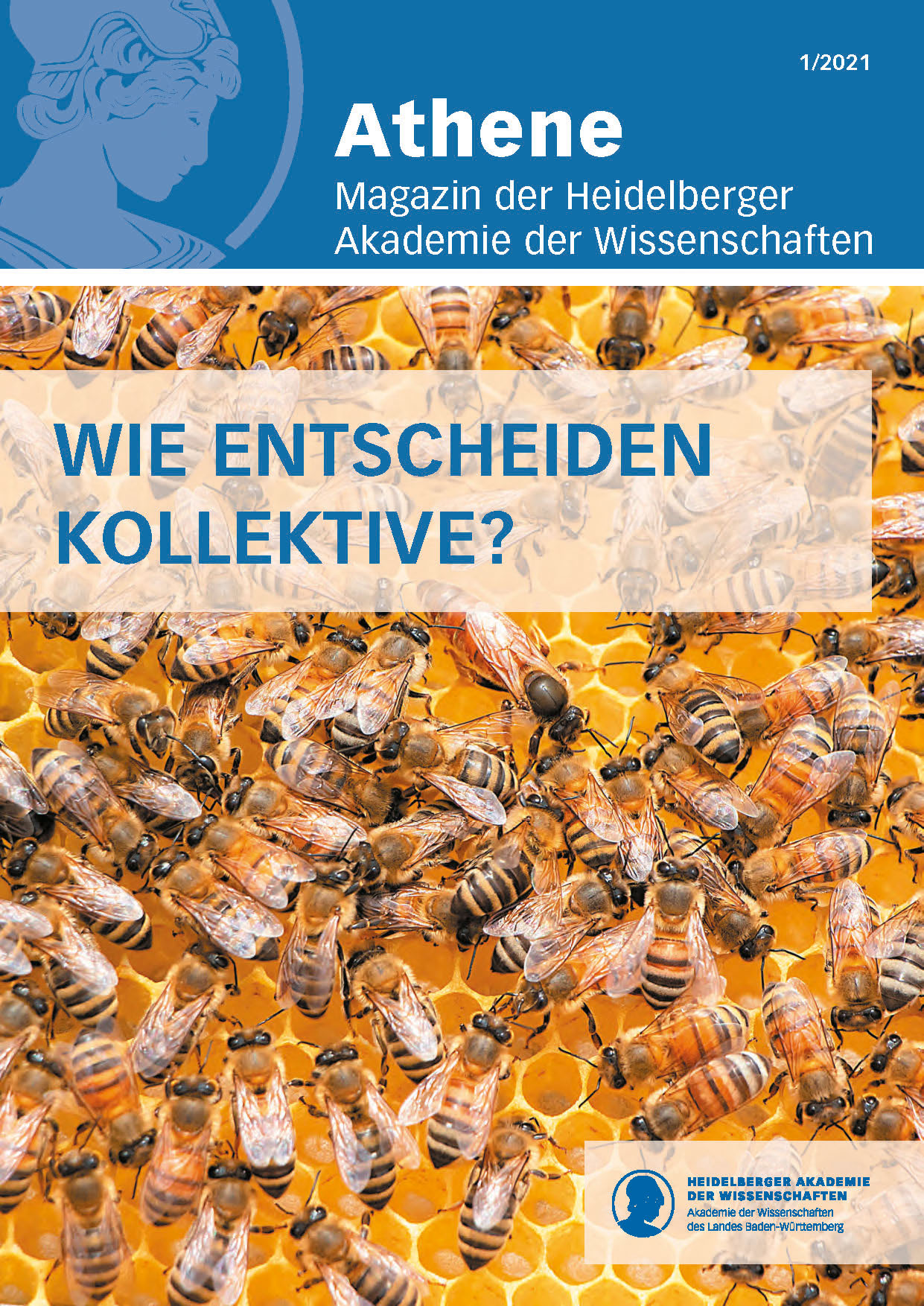 Wie entscheiden Kollektive?