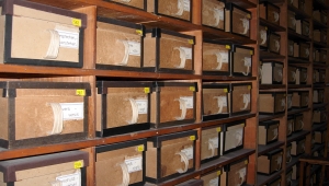 Belegarchiv Karteikastenregale