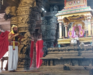 Reading of the Hastigirimāhātmya during the Pallavotsava festival