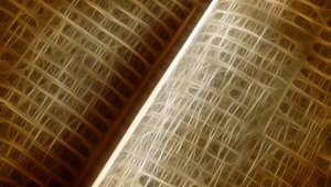 Neue Wege der Verflechtung von Natur- und Geisteswissenschaften