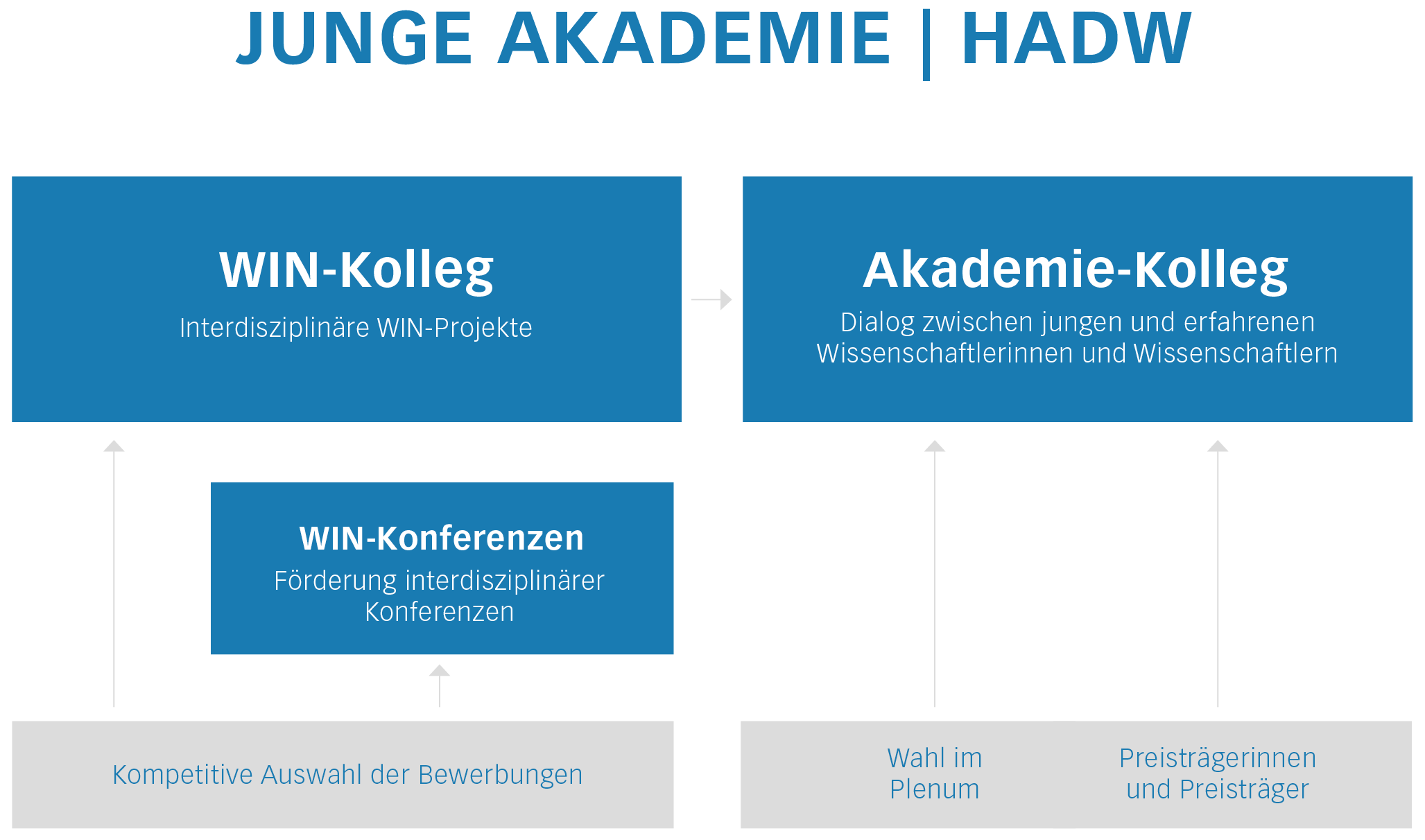 Grafik zum Aufbau der Jungen Akademie, die Hauptsäulen bilden das WIN-Kolleg und das Akademie-Kolleg, zum WIN-Kolleg gehören außerdem die WIN-Konferenzen