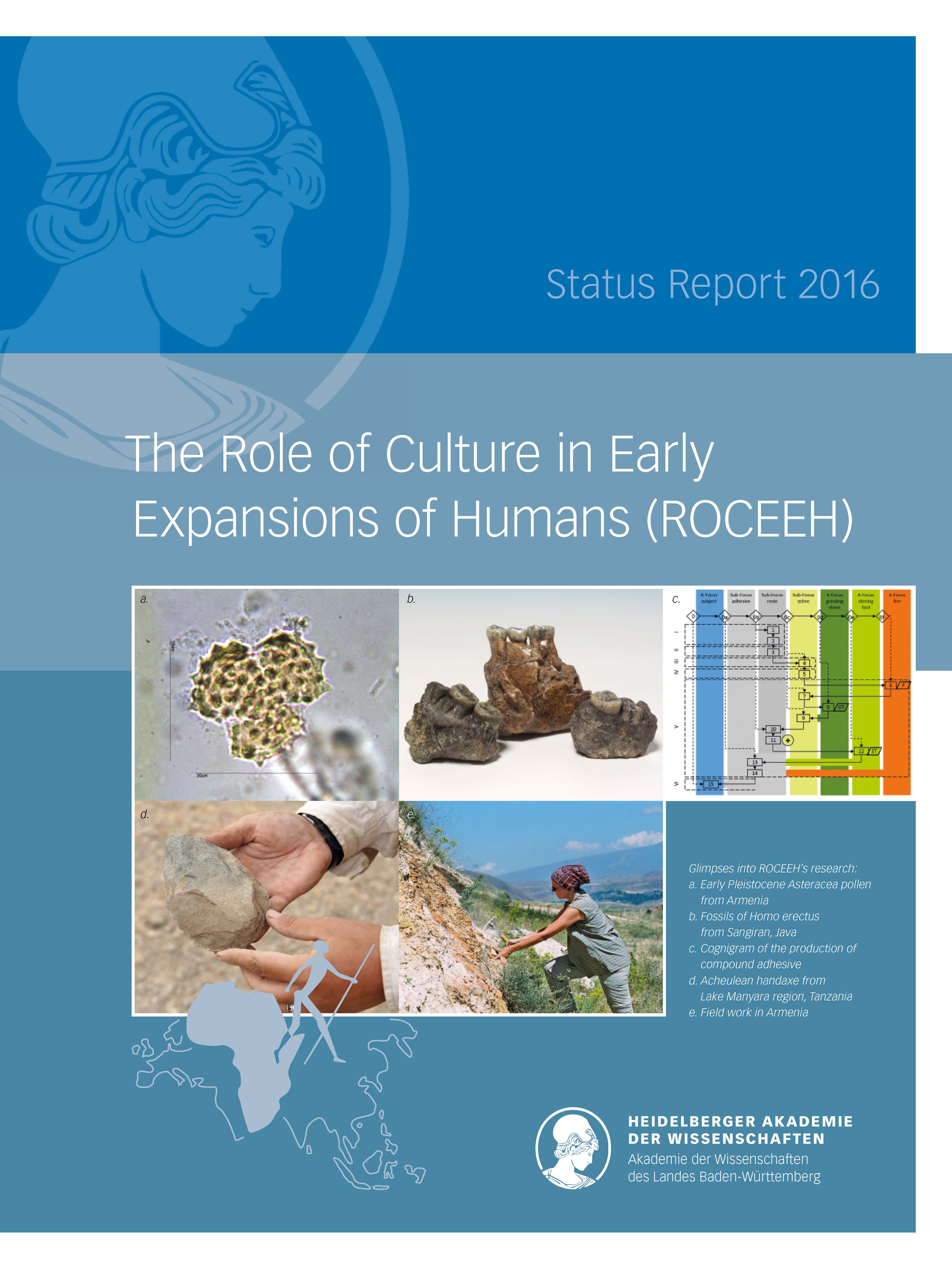 Titelseite des ROCEEH Status Report 2016