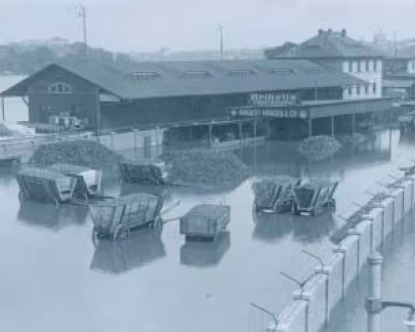 Januar 1932: Die Elbe tritt in der Nähe von Dresden über ihre Ufer (Bundesarchiv, Bild 102-12896, anonymes undatiertes Foto)​