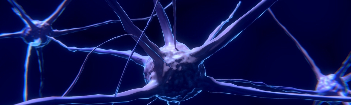 Neuronen