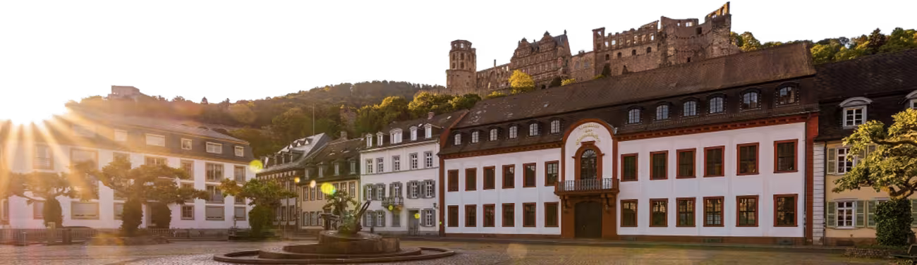 Die Heidelberger Akademie der Wissenschaften