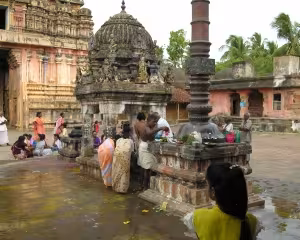 Veneration of the bull during Pradoṣapūjā at the Sākṣinātha temple in Tiruppurambiyam