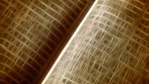 Neue Wege der Verflechtung von Natur- und Geisteswissenschaften