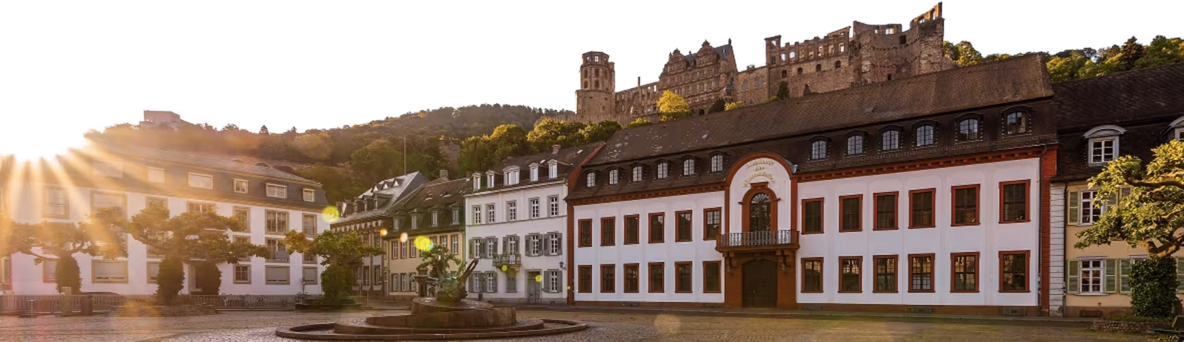 Die Heidelberger Akademie der Wissenschaften