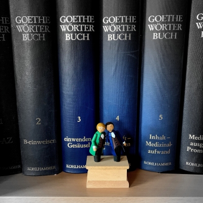 Bibliothek des Goethe-Wörterbuchs