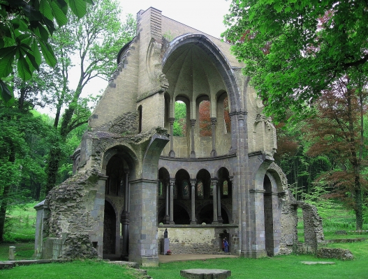Foto der Ruine des Klosters Heisterbach 