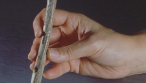Hand hält Steinzeit-Flöte aus Vogelknochen 