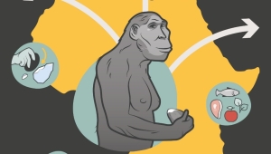 Plakat der Ausstellung "Menschsein. Die Anfänge unserer Kultur"