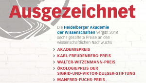 Plakat der Preisverleihung 2018, auf grauem Hintergrund steht in rot: "Ausgezeichnet" Darunter in grau und blau "Die Heidelberger Akademie der Wissenschaften vergibt 2018 sechs gestiftete Preise an den wissenschaftlichen Nachwuchs". Darunter sind die Preise in roter Schrift aufgelistet.