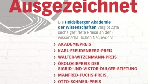 Plakat der Preisverleihung 2018, auf grauem Hintergrund steht in rot: "Ausgezeichnet" Darunter in grau und blau "Die Heidelberger Akademie der Wissenschaften vergibt 2018 sechs gestiftete Preise an den wissenschaftlichen Nachwuchs". Darunter sind die Preise in roter Schrift aufgelistet.