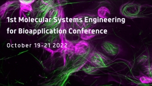 Werbeplakat der WIN Konferenz Molecular Systems Engineering for Bioapplication Conference