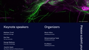 Werbeplakat der WIN Konferenz Molecular Systems Engineering for Bioapplication Conference