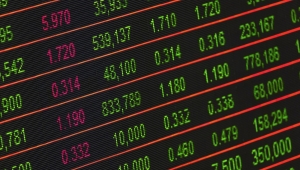 Stock Market