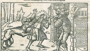 Wolf greift Mensch an